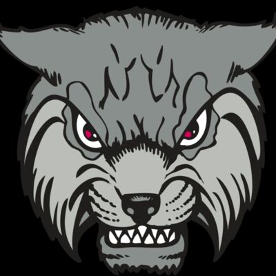 BAW BOBCAT 02 RC Thumbnail