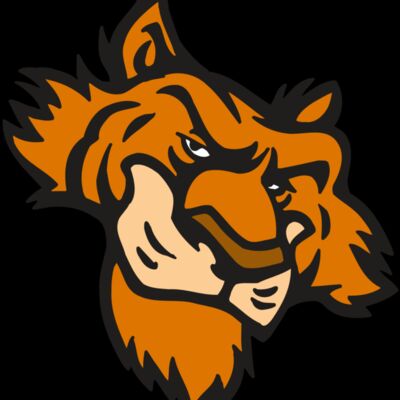 AR5 Tiger 16 RQC Thumbnail