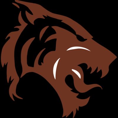 AR5 TIGER 06 RQC Thumbnail