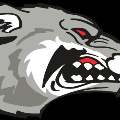 AR WOLVERINE 13 RC Thumbnail