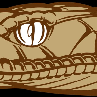 BAW SNAKE 12 RC Thumbnail