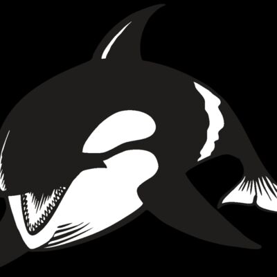 BAW KLRWHALE 04 RC Thumbnail