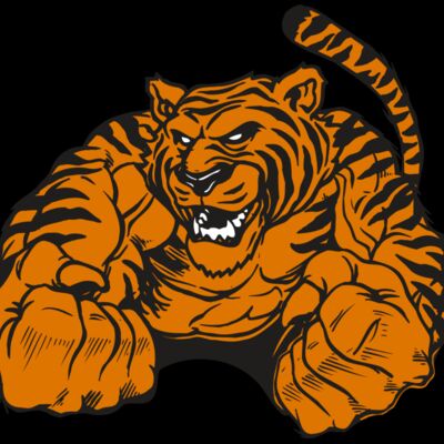 AR TIGER 55 RC Thumbnail