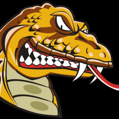 SNAKE HD0504 RQC Thumbnail