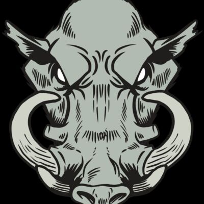 AR20 RAZORBACK 38 RQC Thumbnail