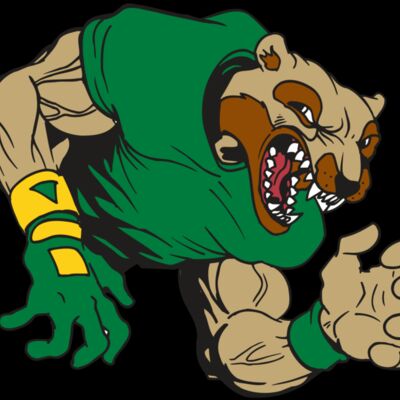 AR5 Wolverine 17 RQC Thumbnail