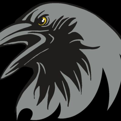 AR31 RAVEN 02 RQC Thumbnail