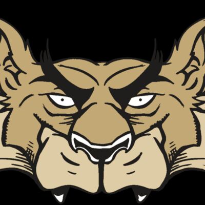 AR5 Wolf 28 RQC Thumbnail