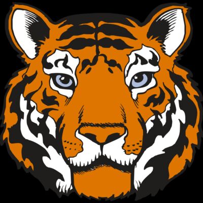 BAW TIGER 02 RC Thumbnail