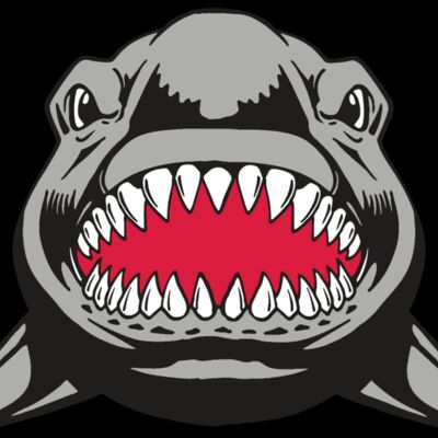 AR  SHARK 25 RC Thumbnail