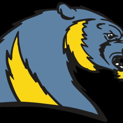 AR5 Wolverine 20 RQC Thumbnail