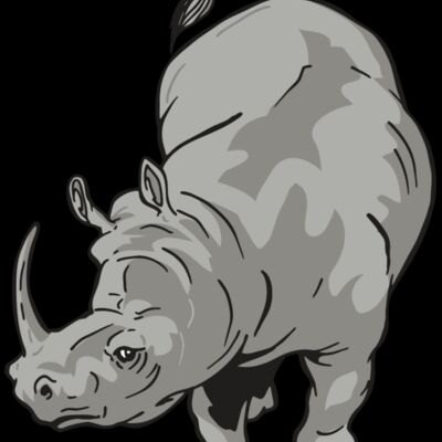 AR RHINO 12 RC Thumbnail